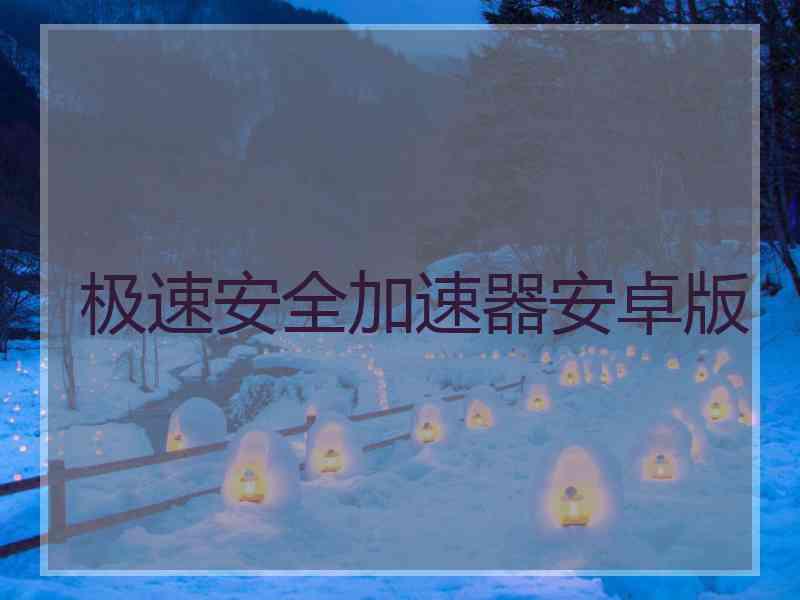 极速安全加速器安卓版