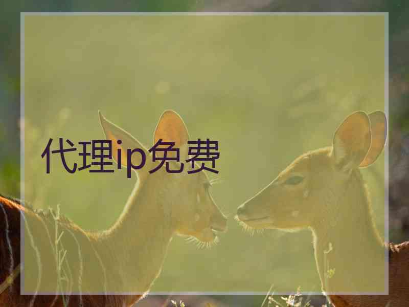 代理ip免费