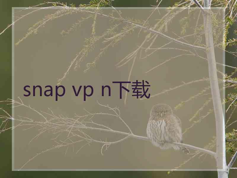 snap vp n下载