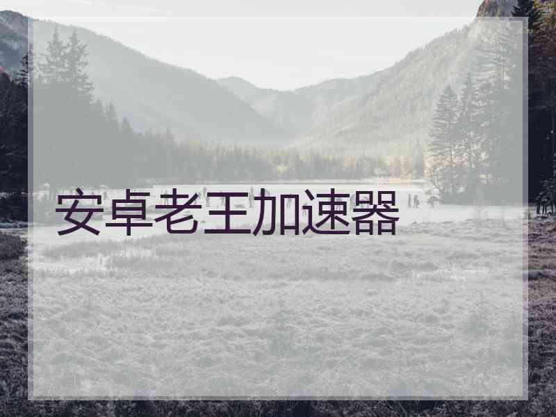 安卓老王加速器