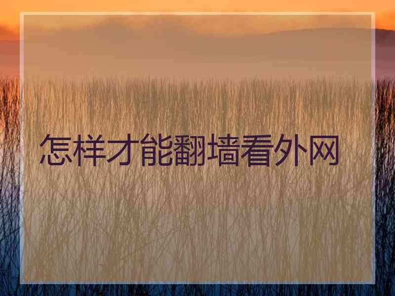 怎样才能翻墙看外网