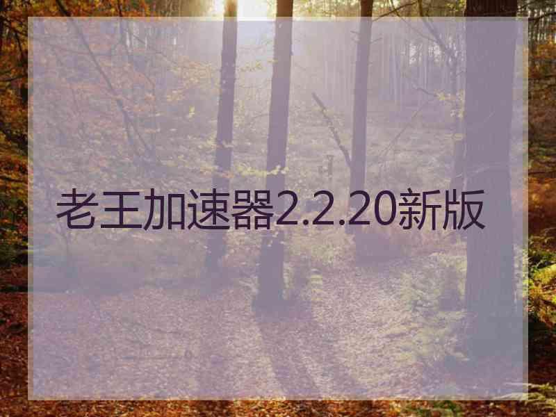 老王加速器2.2.20新版
