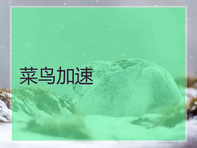 菜鸟加速