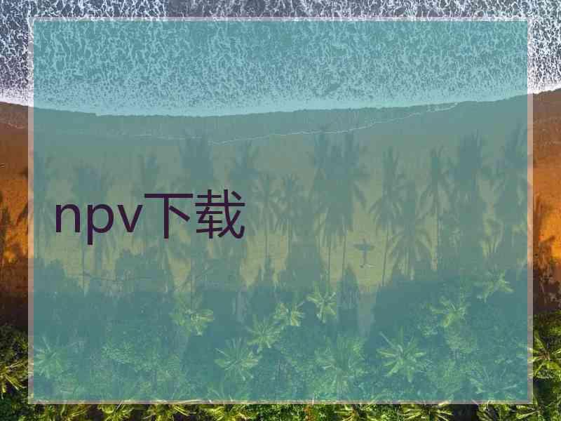 npv下载