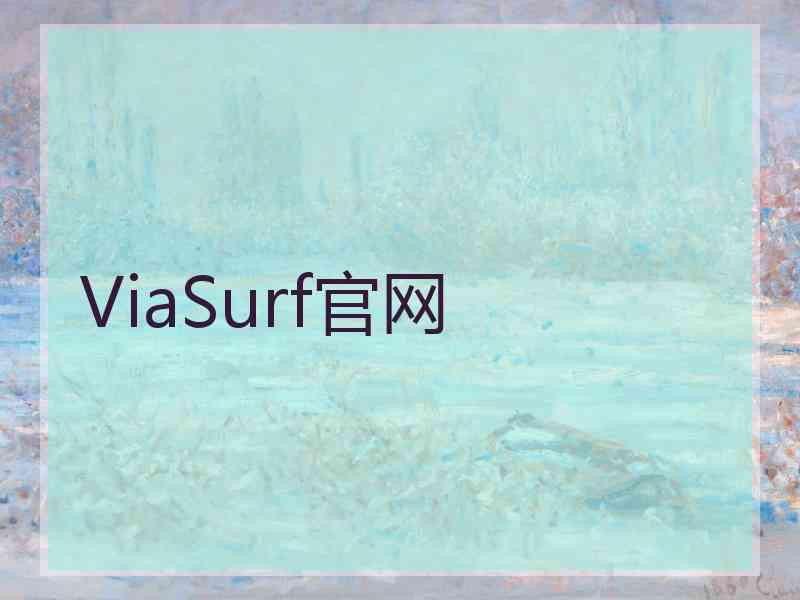 ViaSurf官网