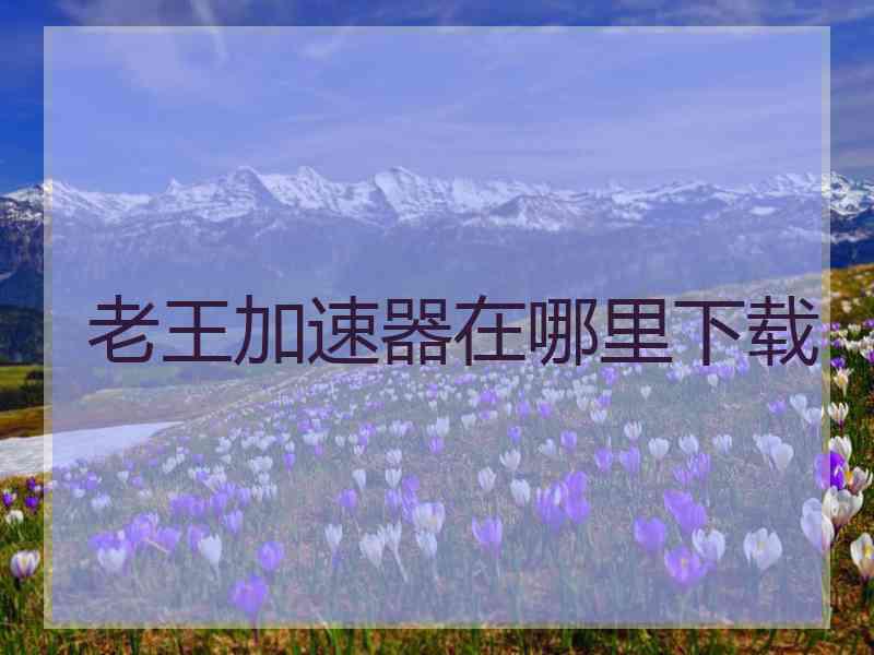 老王加速器在哪里下载