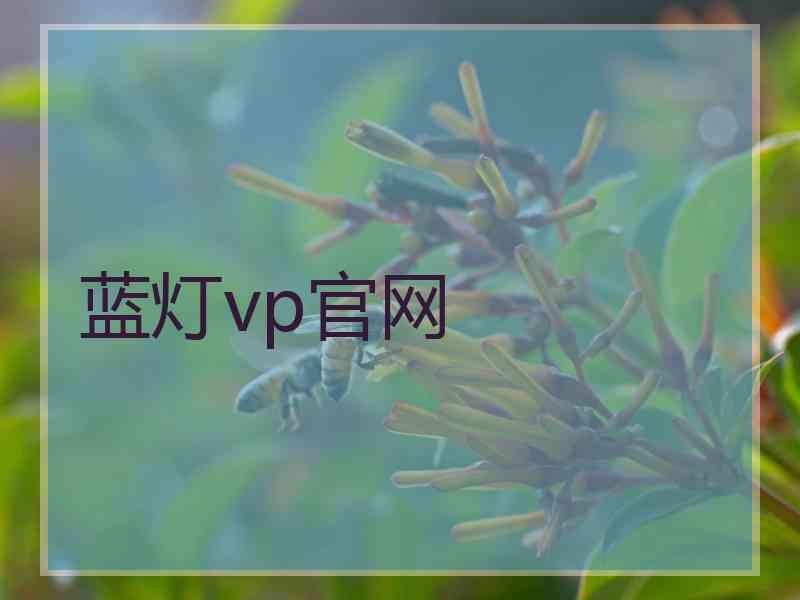 蓝灯vp官网