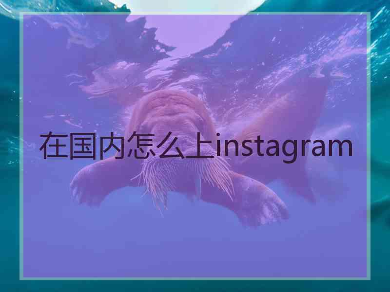 在国内怎么上instagram