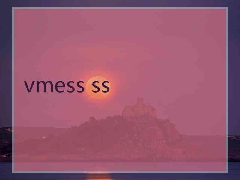 vmess ss