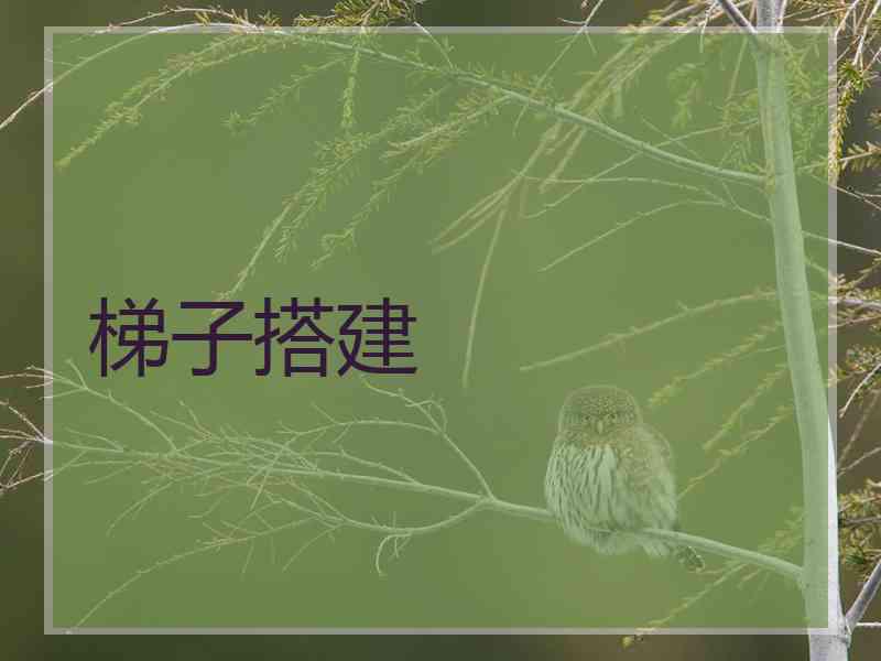 梯子搭建