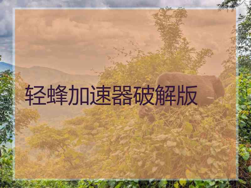 轻蜂加速器破解版