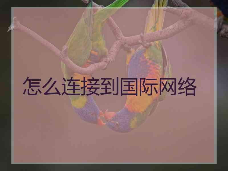 怎么连接到国际网络