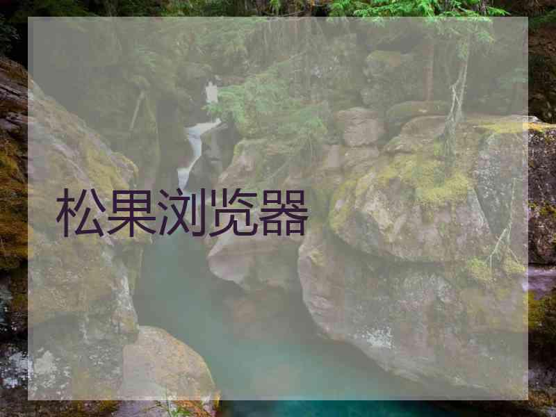 松果浏览器