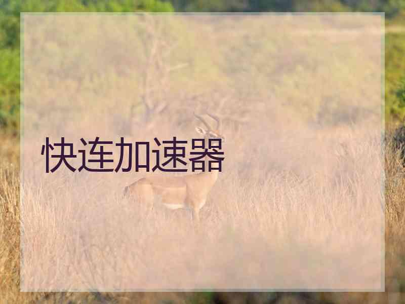 快连加速器