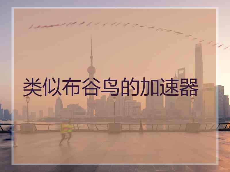 类似布谷鸟的加速器