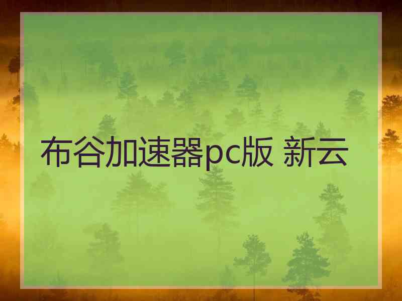 布谷加速器pc版 新云