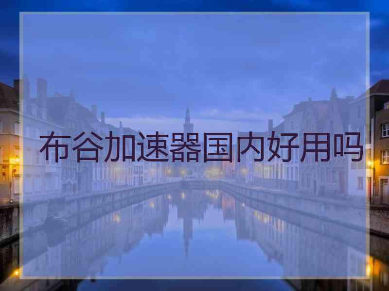 布谷加速器国内好用吗