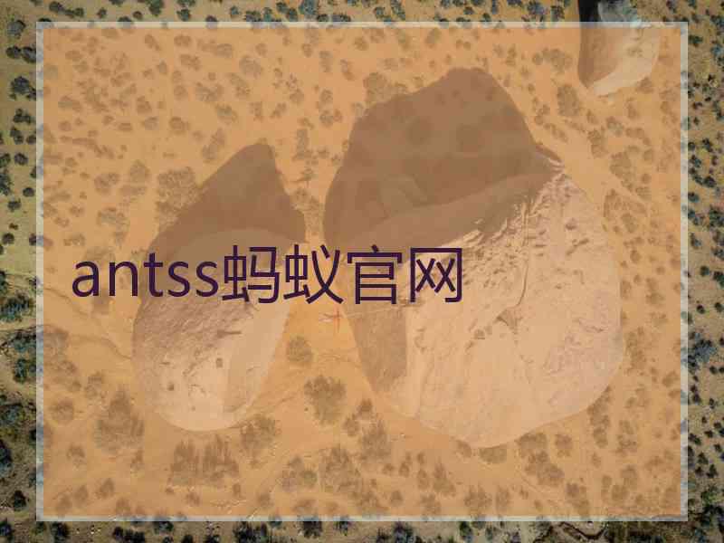 antss蚂蚁官网