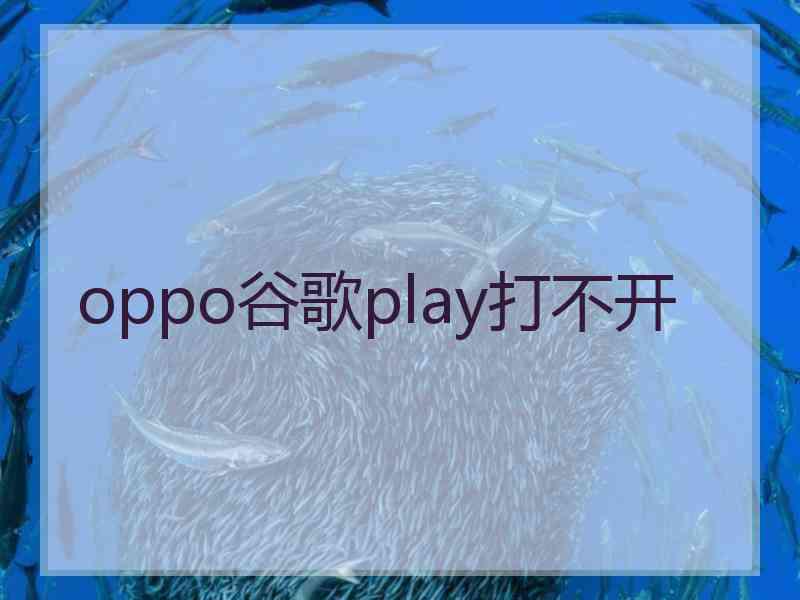 oppo谷歌play打不开