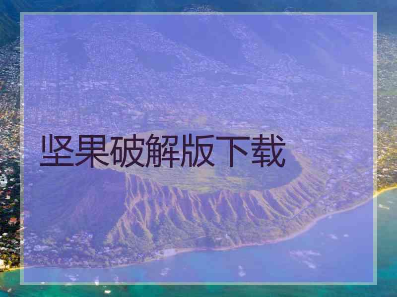 坚果破解版下载