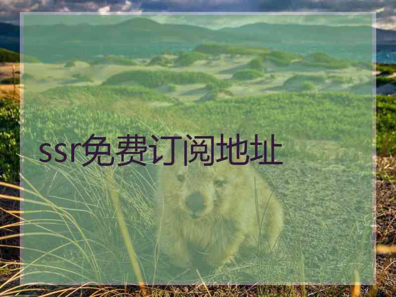 ssr免费订阅地址