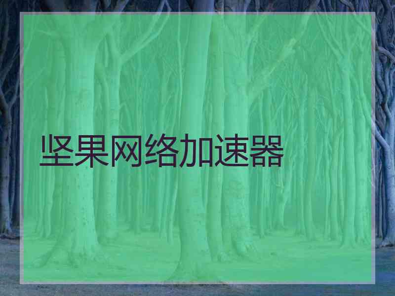 坚果网络加速器