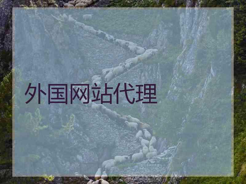 外国网站代理
