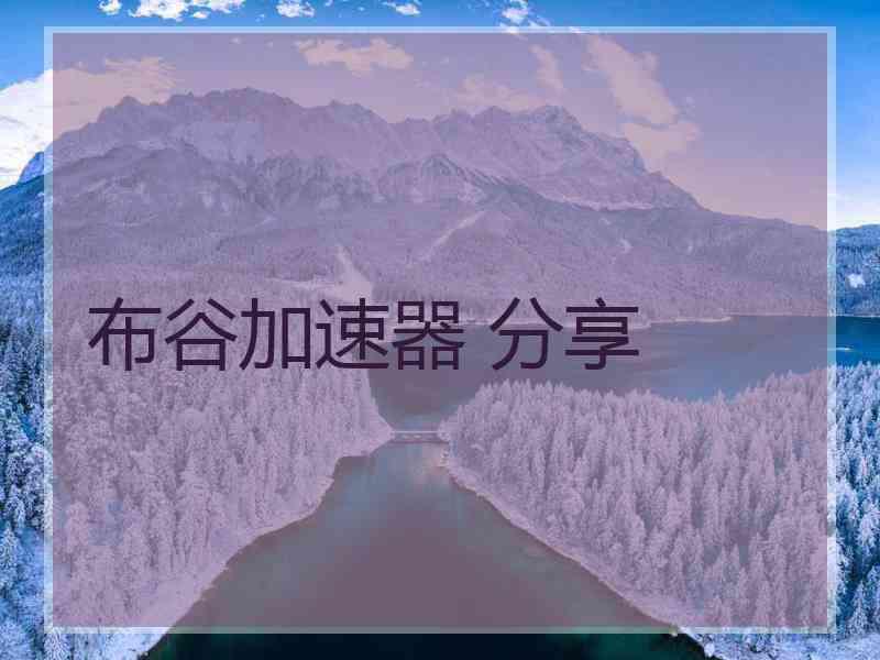 布谷加速器 分享
