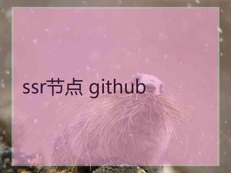 ssr节点 github
