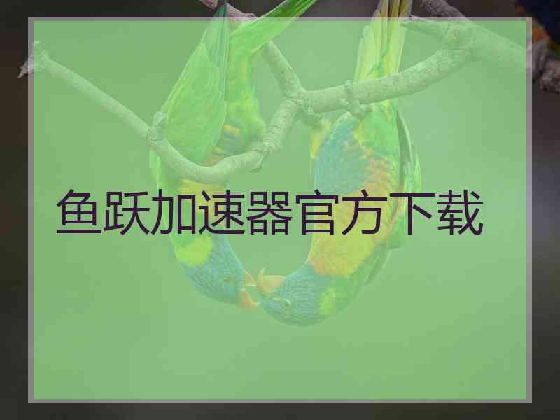 鱼跃加速器官方下载