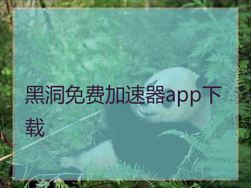 黑洞免费加速器app下载
