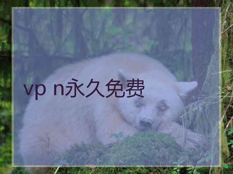 vp n永久免费