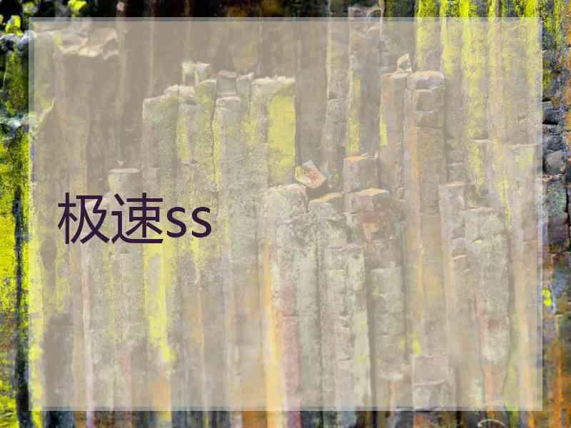 极速ss