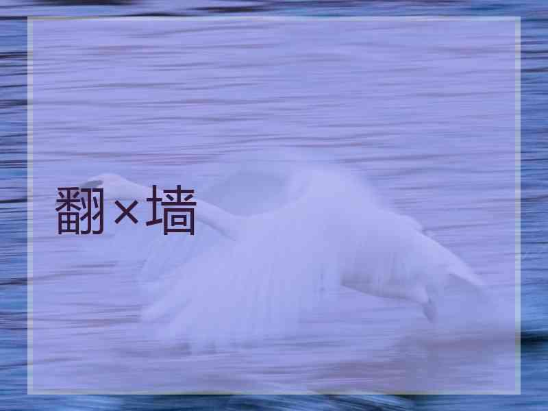 翻×墙