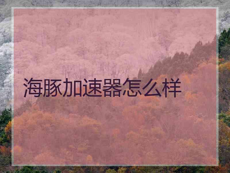 海豚加速器怎么样