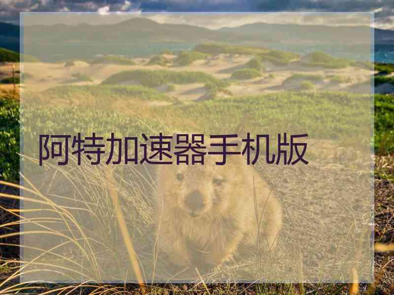 阿特加速器手机版