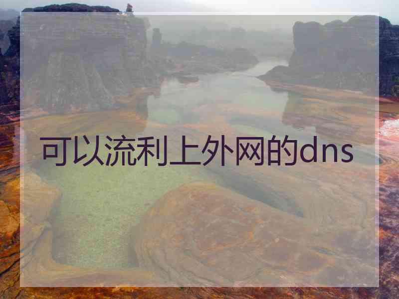可以流利上外网的dns