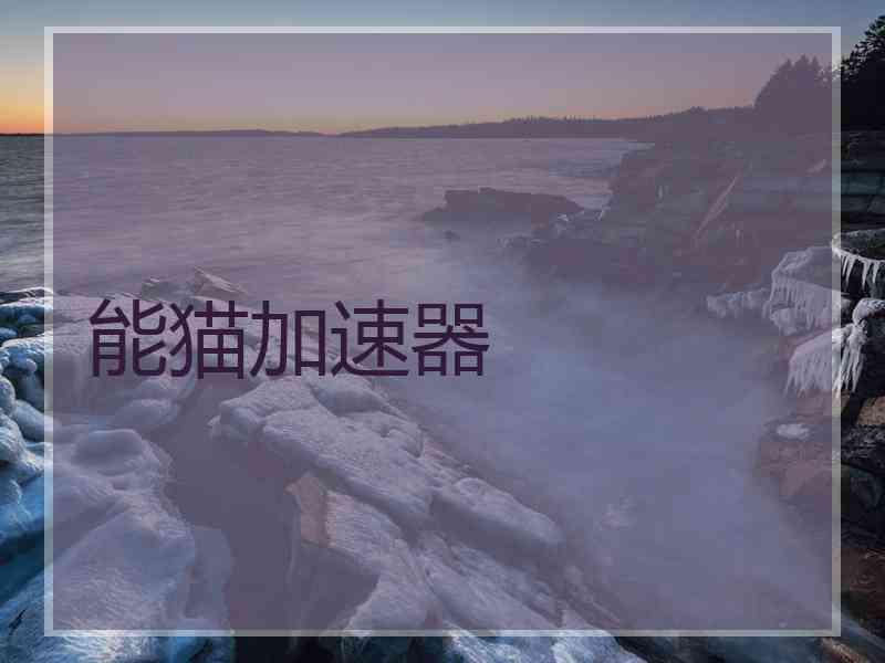 能猫加速器