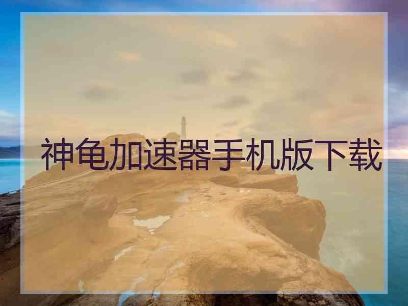 神龟加速器手机版下载