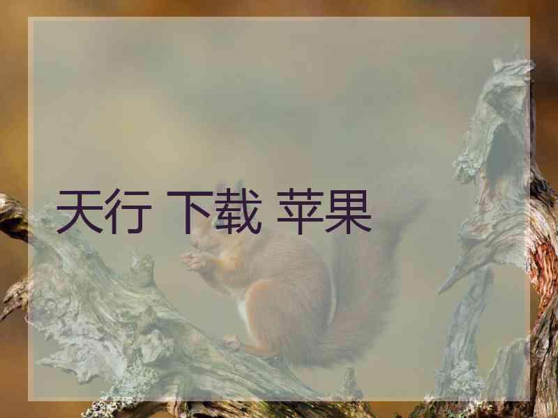 天行 下载 苹果