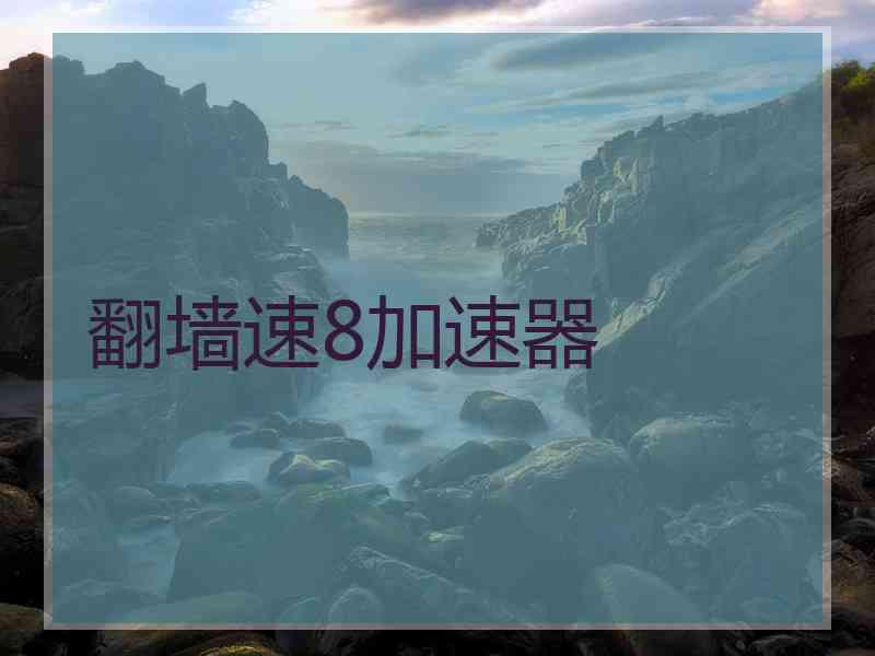 翻墙速8加速器