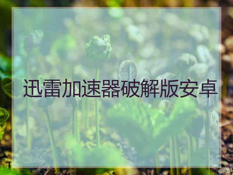 迅雷加速器破解版安卓