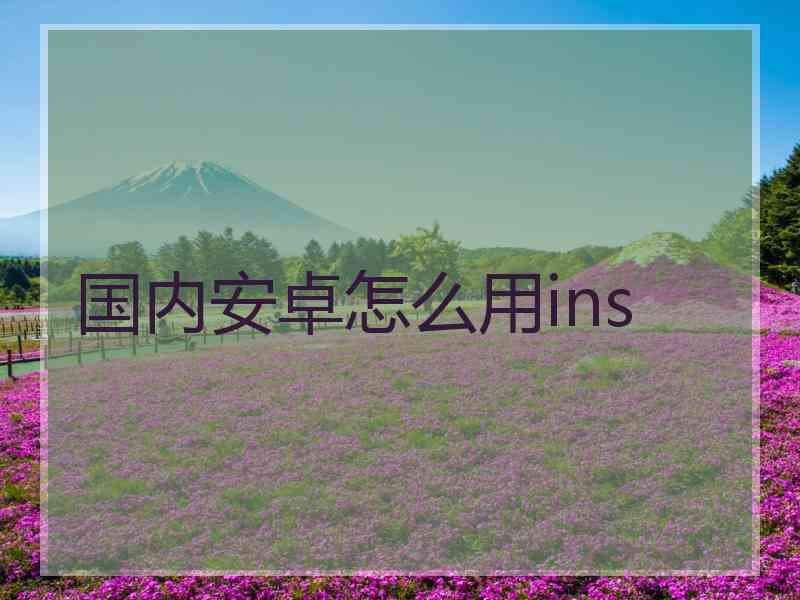 国内安卓怎么用ins