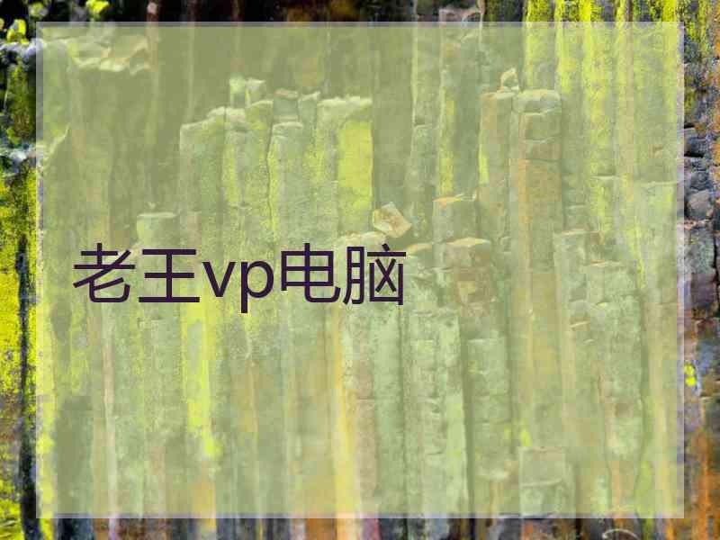 老王vp电脑