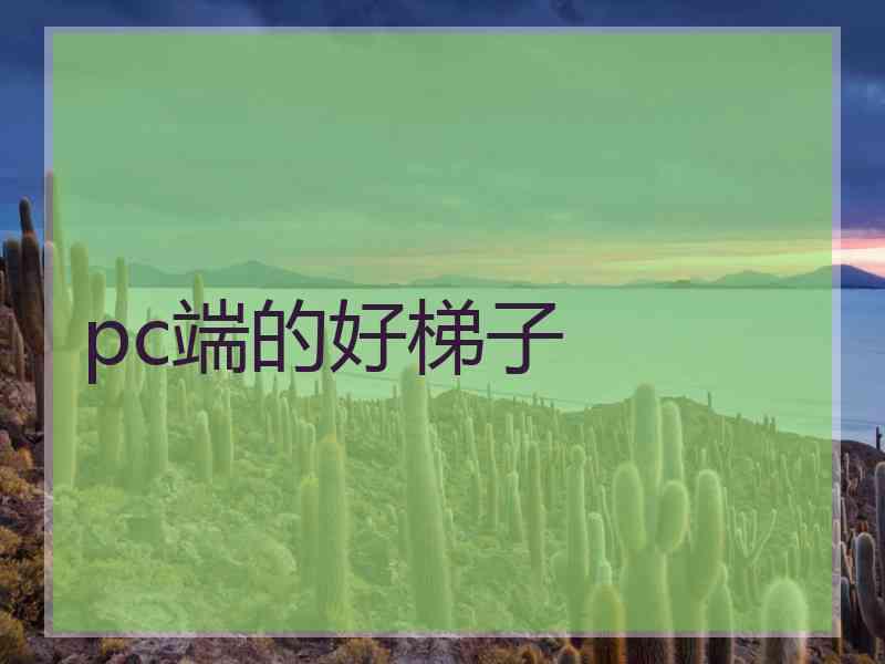 pc端的好梯子