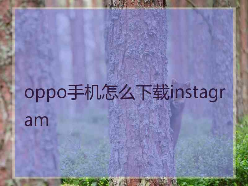 oppo手机怎么下载instagram