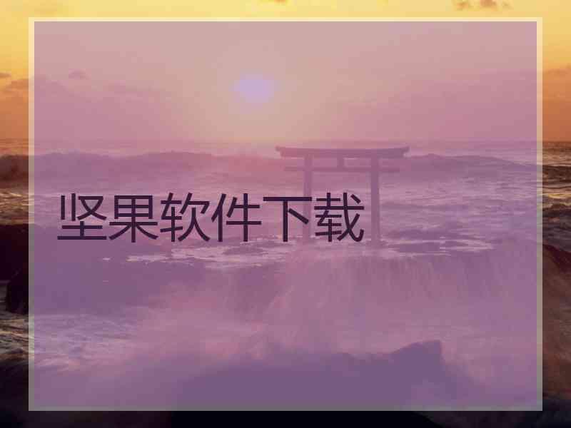 坚果软件下载