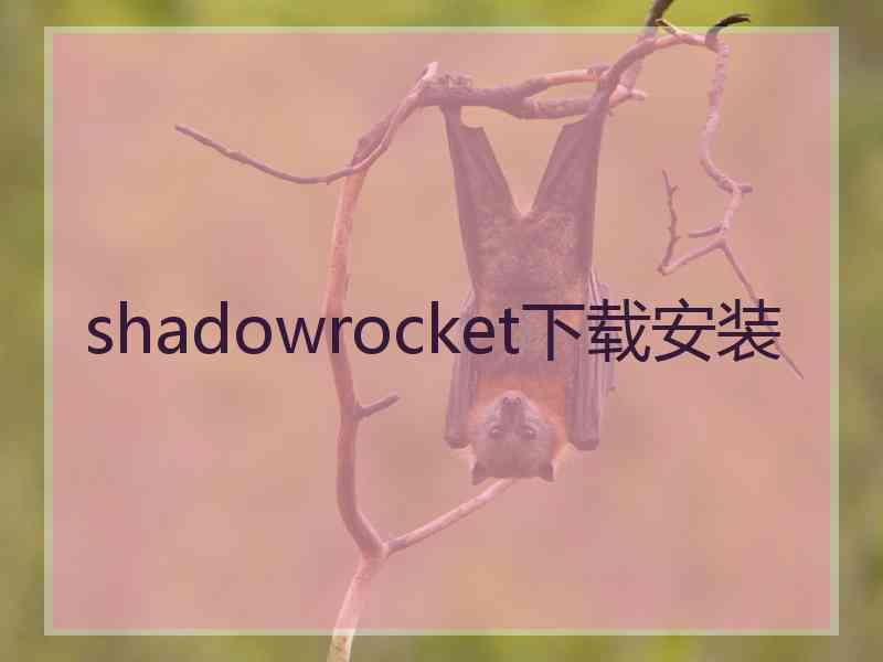 shadowrocket下载安装