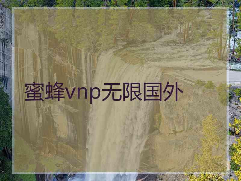 蜜蜂vnp无限国外