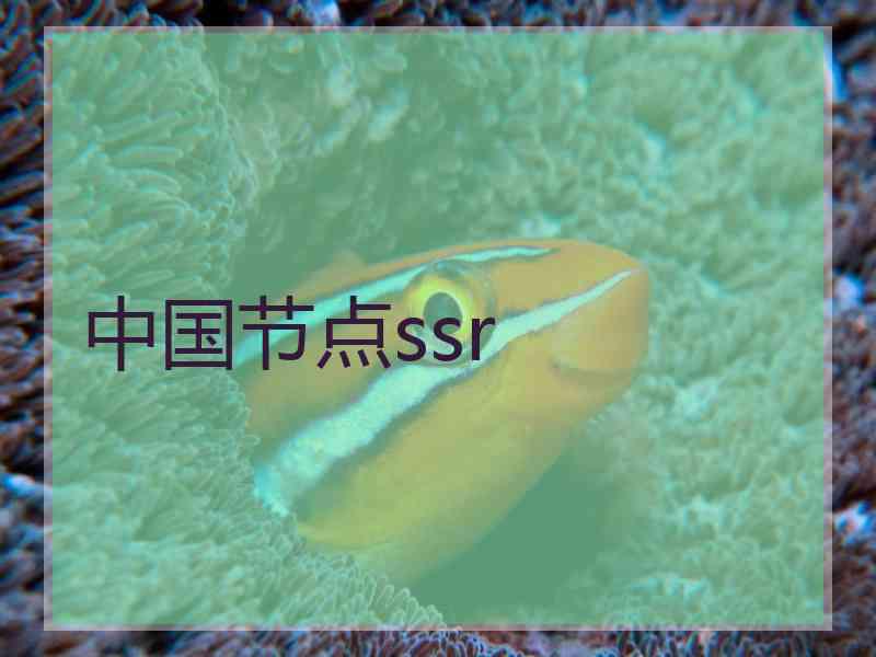 中国节点ssr